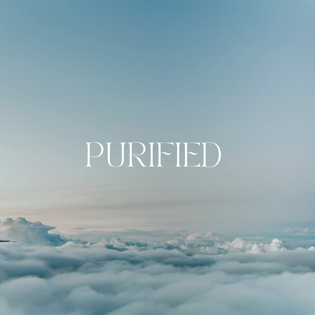 Purified (Live)