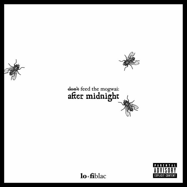 Don't Feed The Mogwai: After Midnight