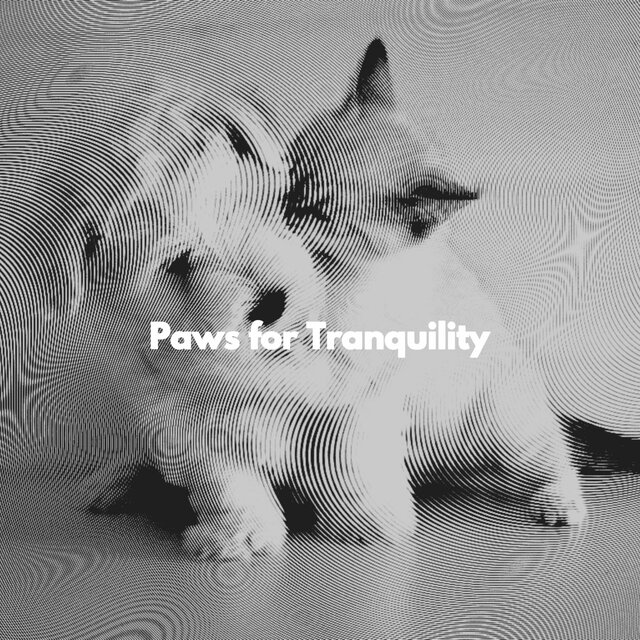 Paws for Tranquility