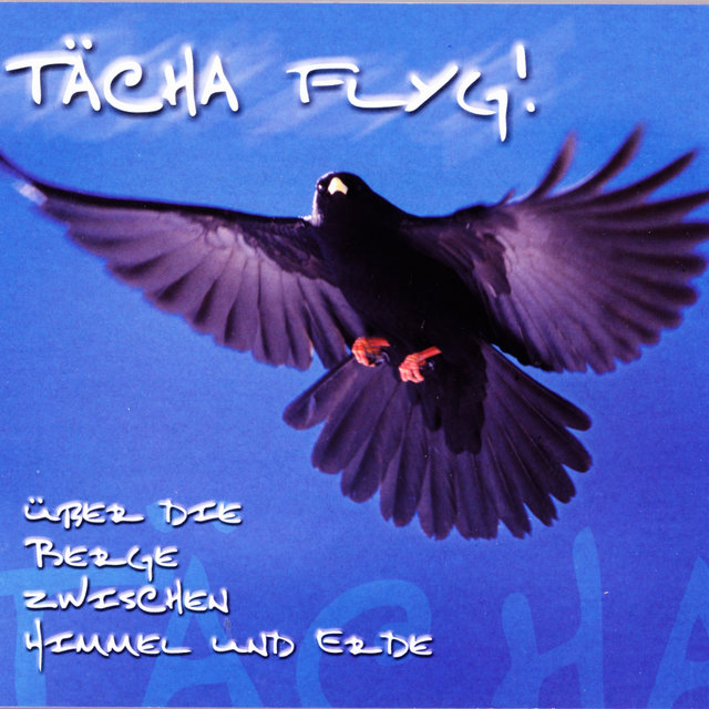 Tächa flyg