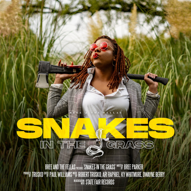 Cover art for album Snakes in the Grass by Bree & the Fellas