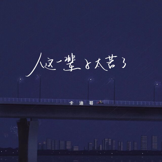 人这一辈子太苦了