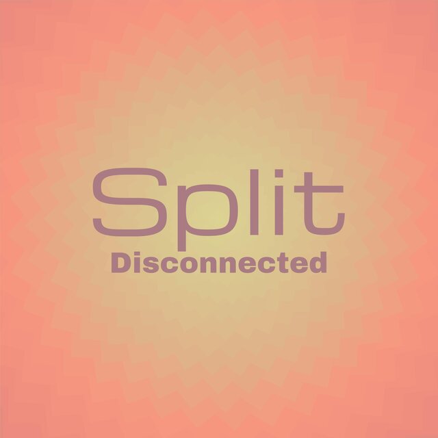 Split Disconnected