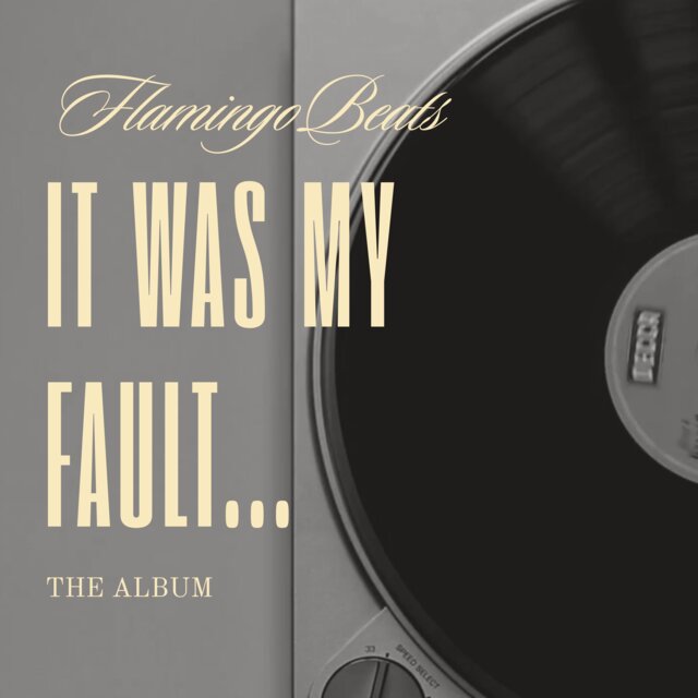 It Was My Fault...