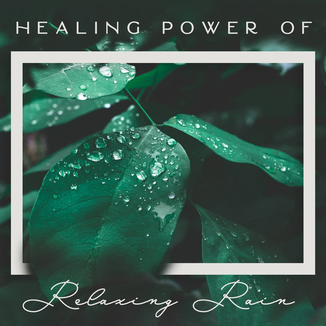 Healing Power of Relaxing Rain