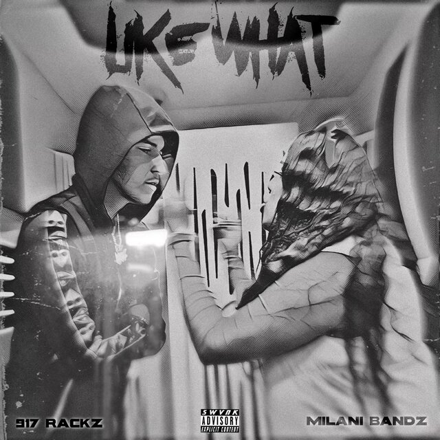 Like What (feat. 917 Rackz)