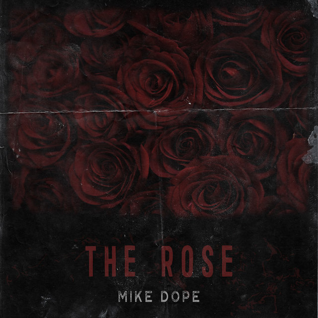 The Rose