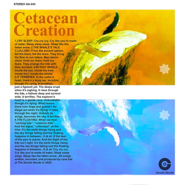 Cetacean Creation
