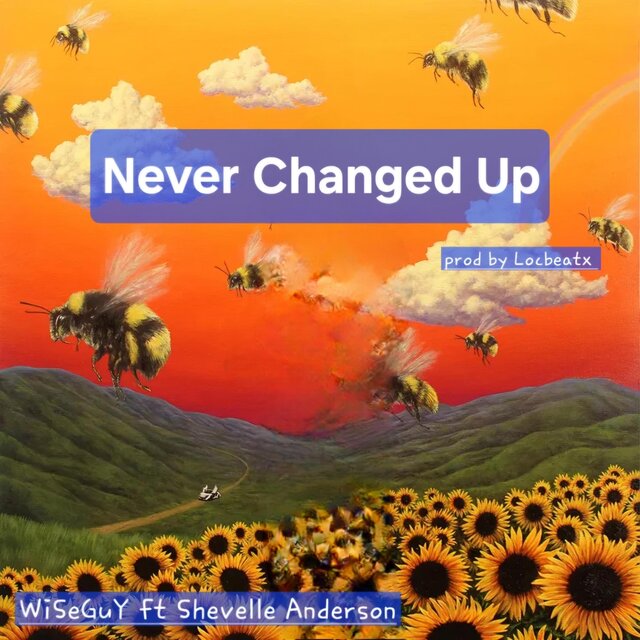 Never Changed Up