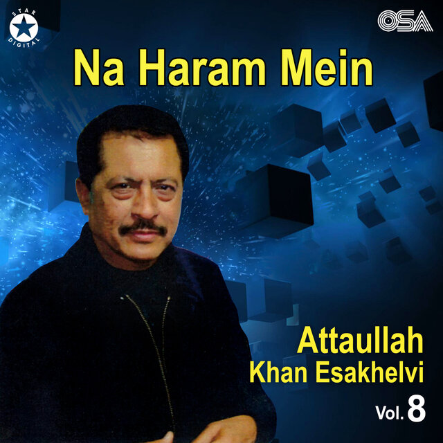 Na Haram Mein, Vol. 8