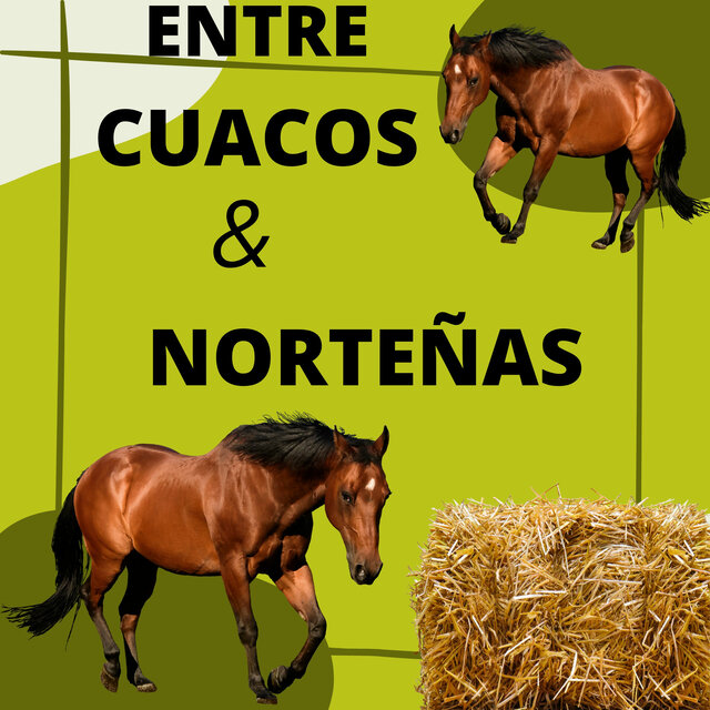 Entre Cuacos Y Norteñas