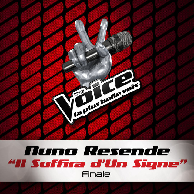 Il Suffira D'Un Signe - The Voice 2
