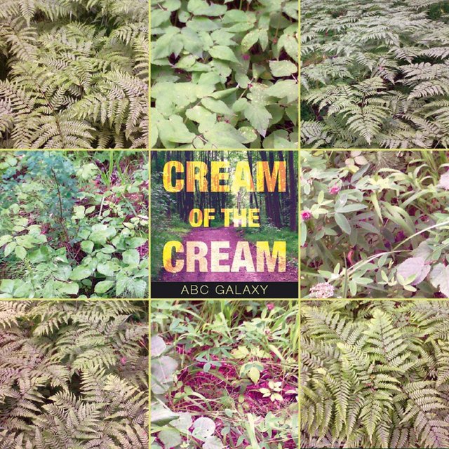 Cream of the Cream