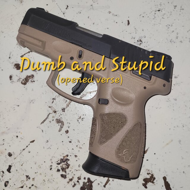 Dumb and Stupid (opened verse)