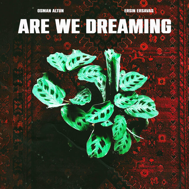 Are We Dreaming