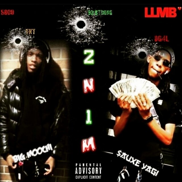 2N1M
