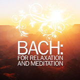 Sonata in C Major for Flute and Guitar, BWV 1033: III. Adagio