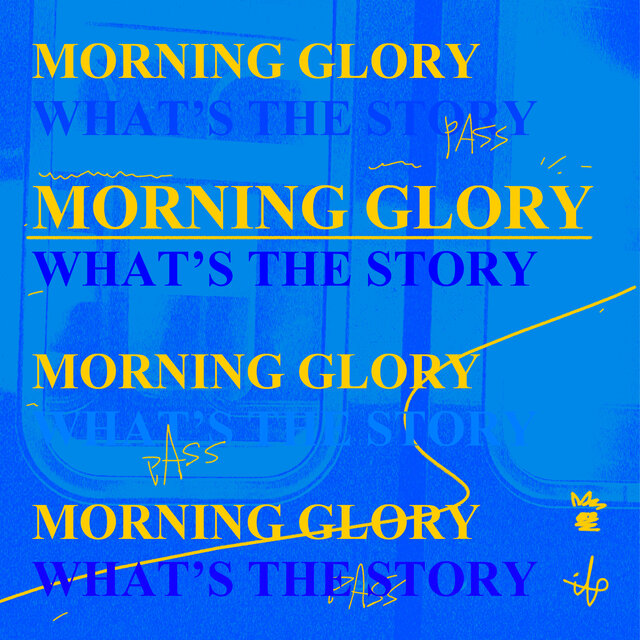 Morning Glory
