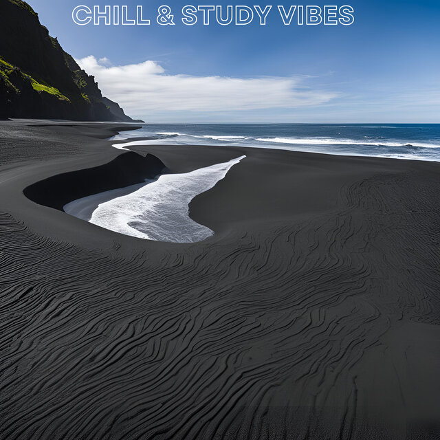 Chill Study Vibes