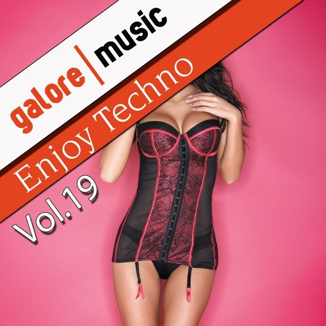 Enjoy Techno, Vol. 19
