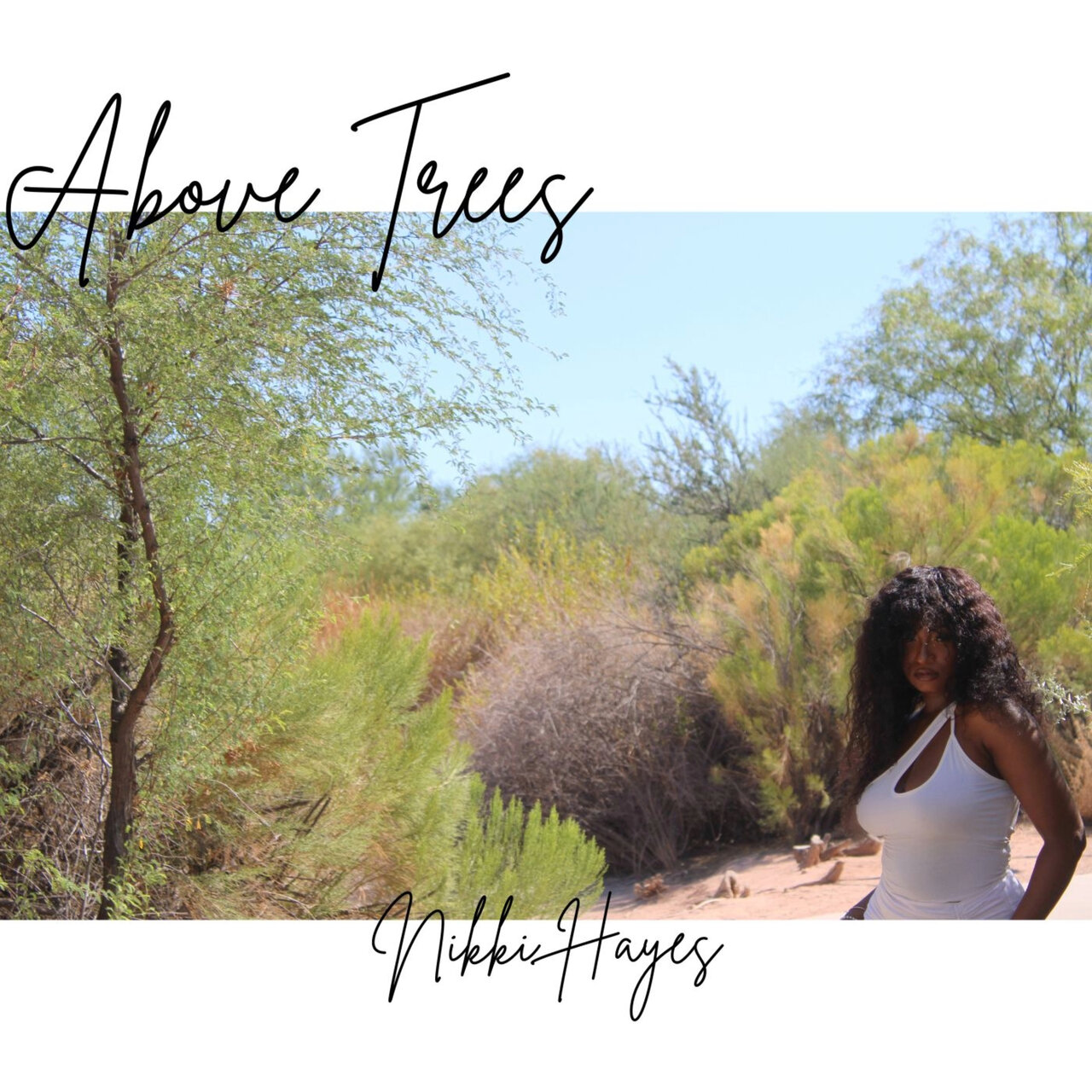 Nikki Hayes - Above Trees [Single]