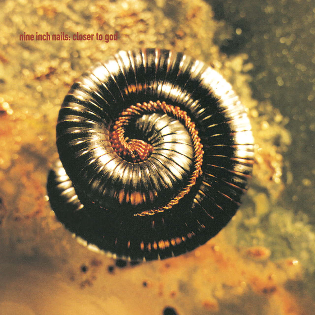 【12inch】Nine Inch Nails / Closer To God Closer To God / Nine Inch Nails - TIDAL