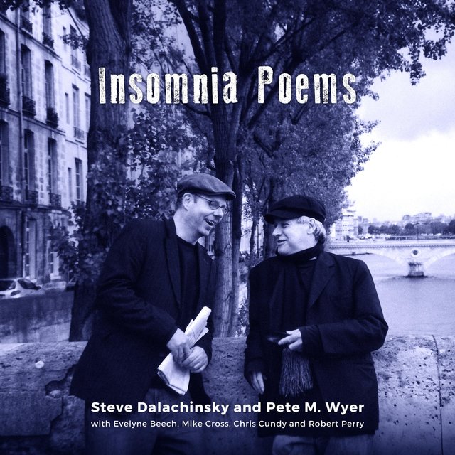Insomnia Poems