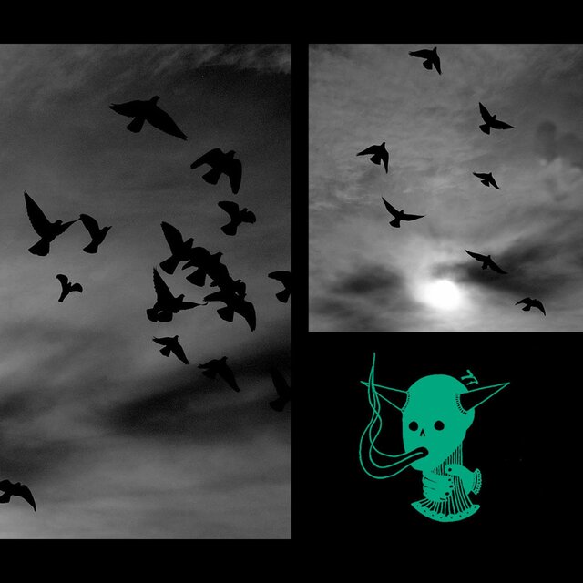 Neon Birds