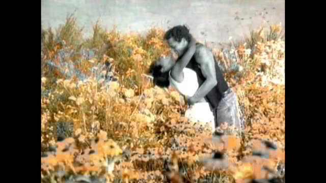 Sweetness (Official Video)