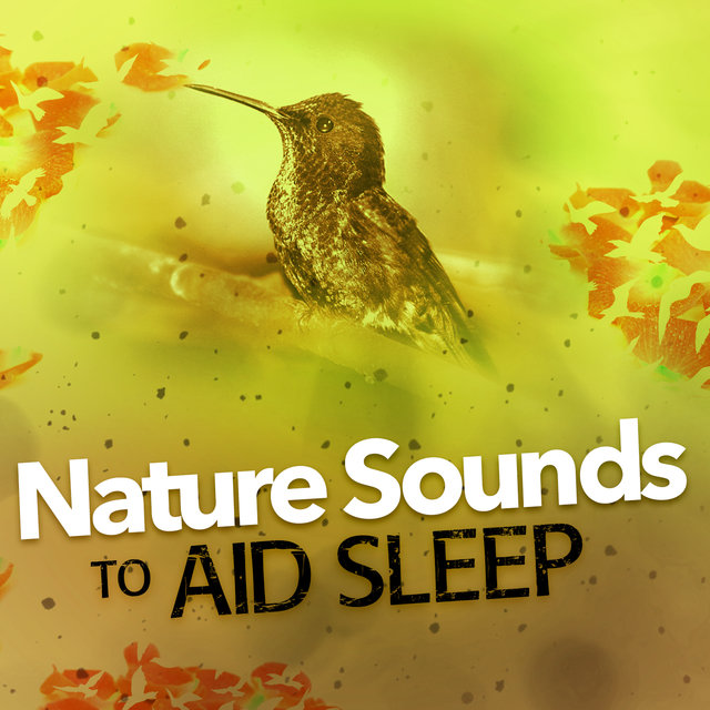 Nature Sounds to Aid Sleep