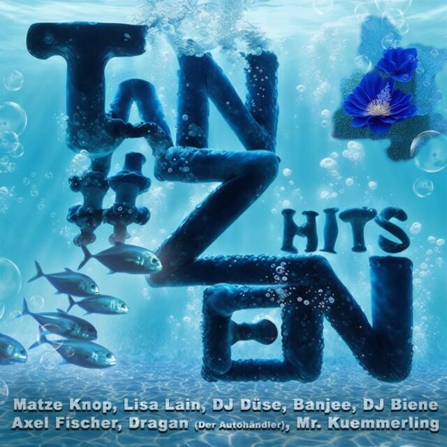 #Tanzen Hits - Vol. 4
