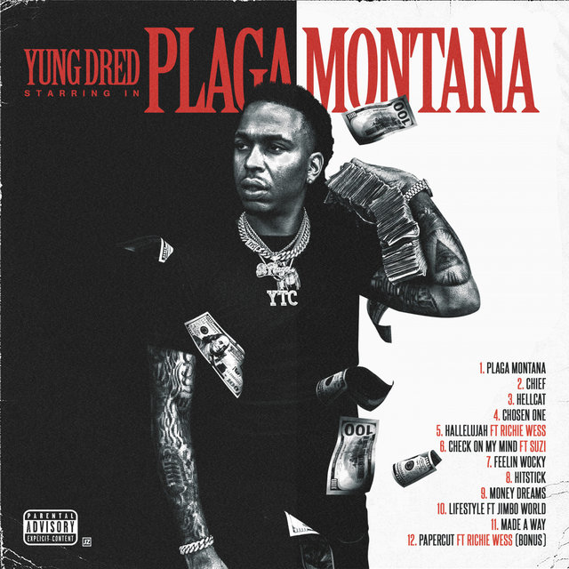 Plaga Montana