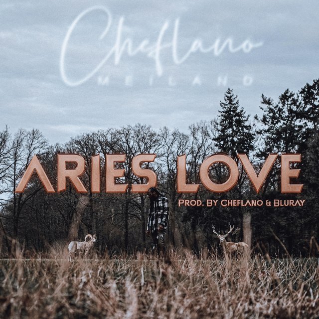 Aries Love