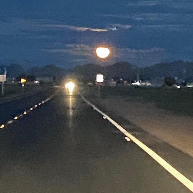 Light of Night