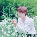 again spring (Instrumental)