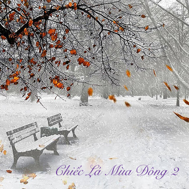 Chiếc Lá Mùa Đông 2