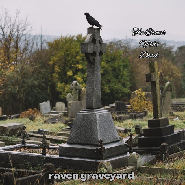 Raven graveyard