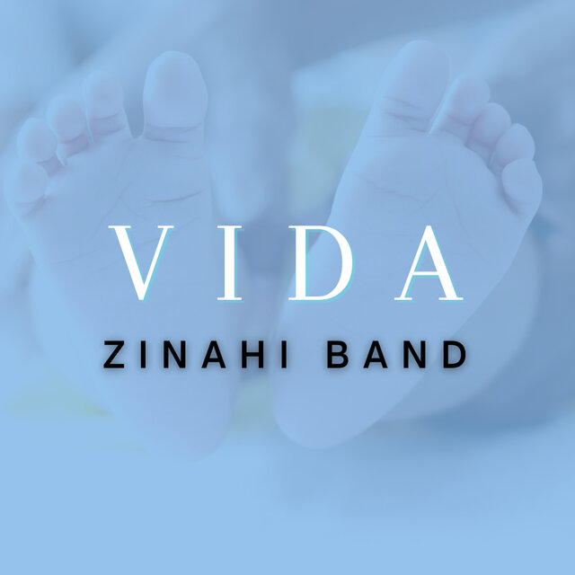 Vida