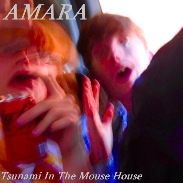 Tsunami in the mouse house