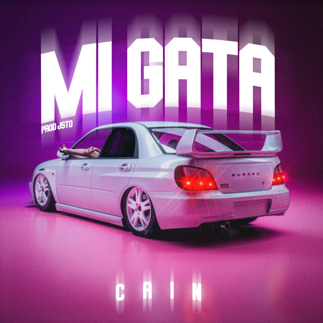 Mi Gata