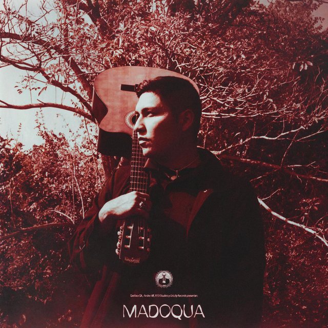 Madoqua