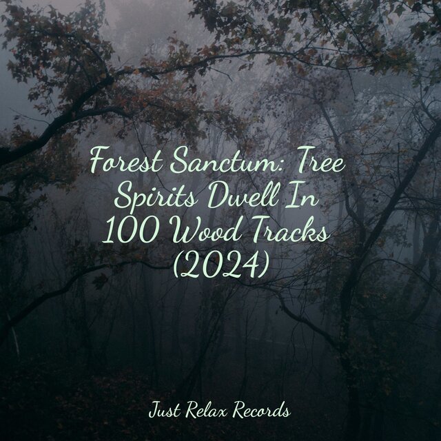 Forest Sanctum: Tree Spirits Dwell In 100 Wood Tracks (2024)