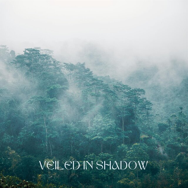 Veiled in Shadow
