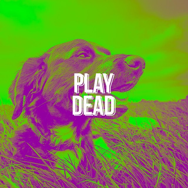 PLAY DEAD