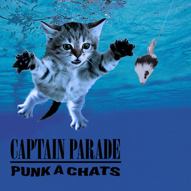 Punk à chats