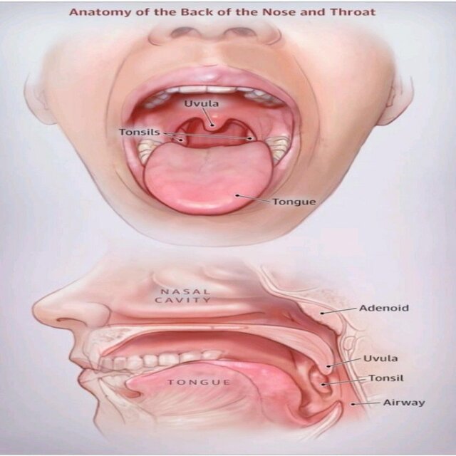 Hi, see my face See hi Teeth are true Break up now The pulp is true Moving Hi, don't forget And a place your teeth Is suitable for Happiness Right The desire to hear his mouth Mun It's worth it Letter Correct