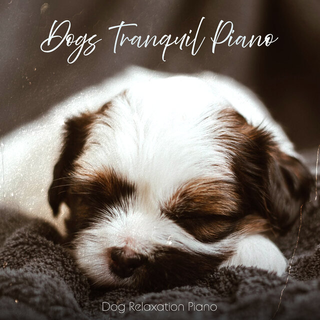 Dogs Tranquil Piano