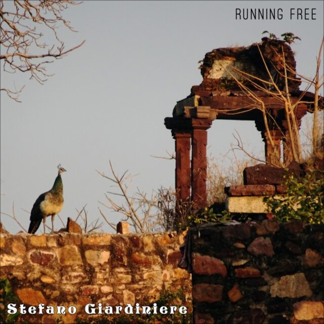 Running Free