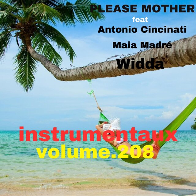 instrumentaux vol.208