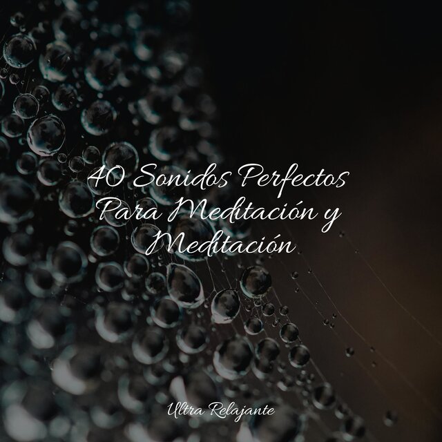 40 Sonidos Perfectos Para Meditación y Meditación